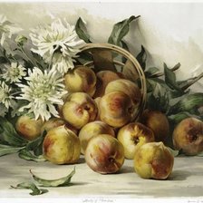 Оригинал схемы вышивки «яблоки и цветы» (№378324)