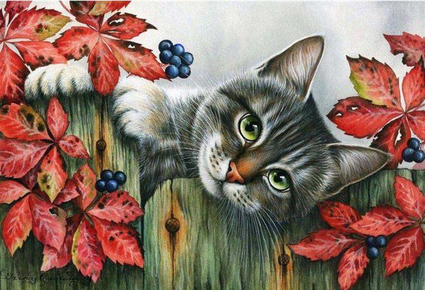 Кошка Гармашевой - кот, кошка, цветы - оригинал