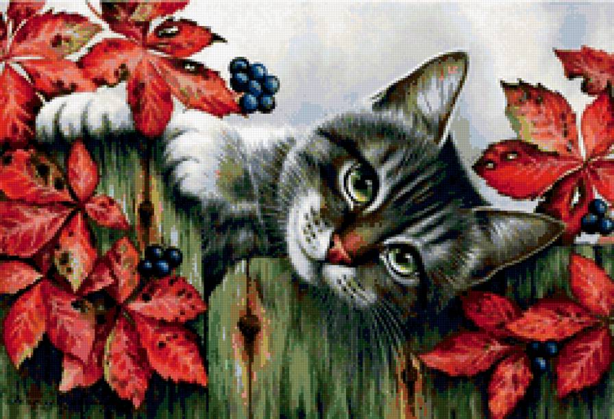 Кошка Гармашевой - цветы, кошка, кот - предпросмотр