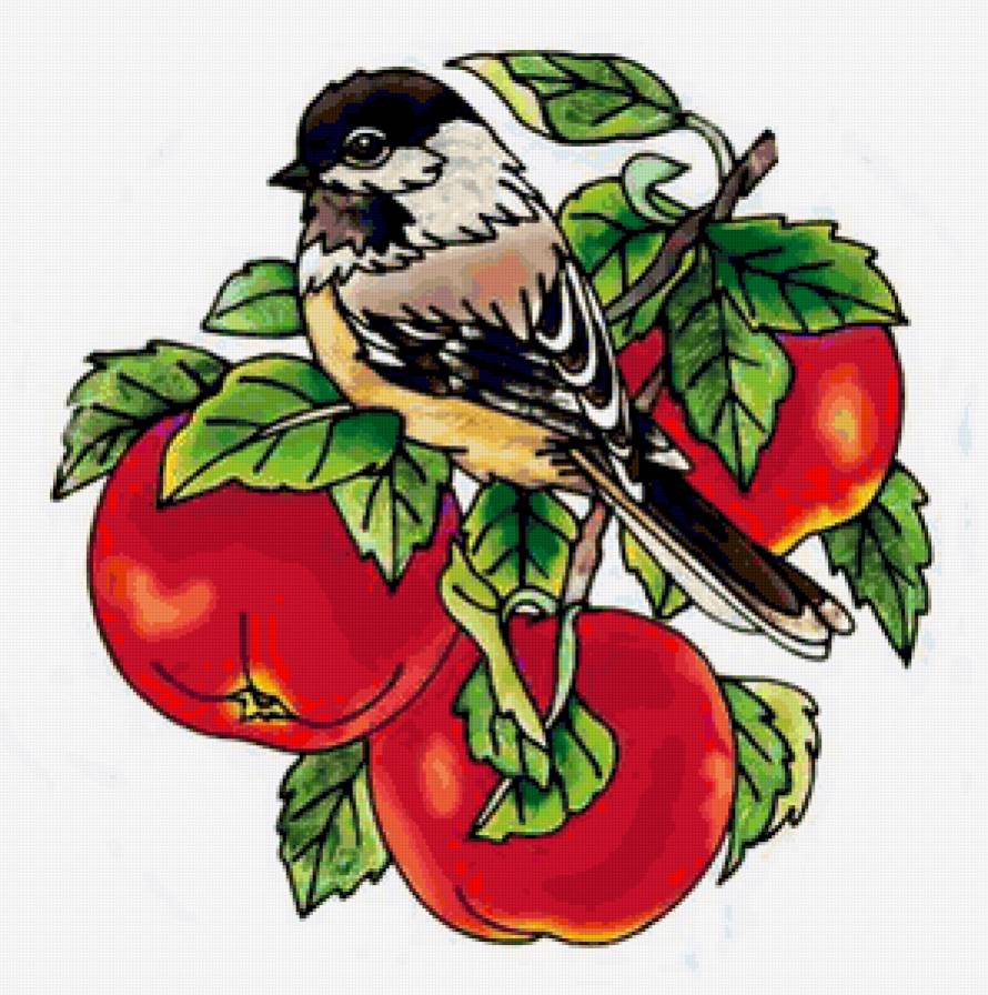 Воробей и яблоки - птицы, яблоки, воробей, фрукты - предпросмотр