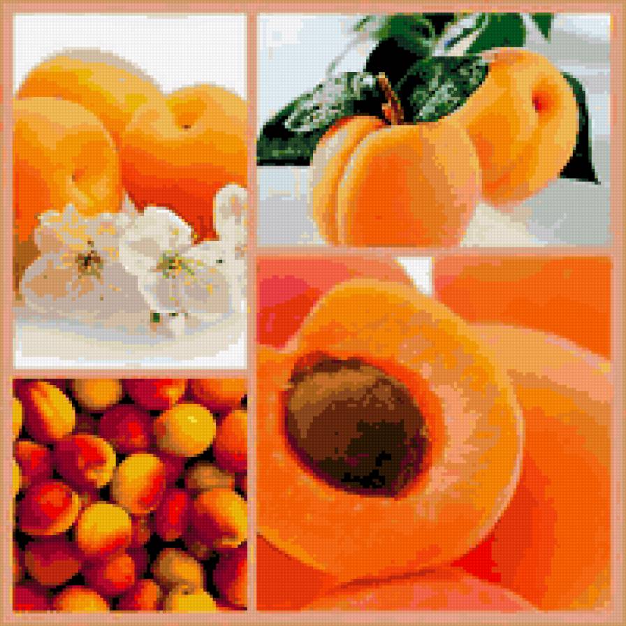 apricots! - fruits - предпросмотр