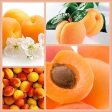 Схема вышивки «apricots!»