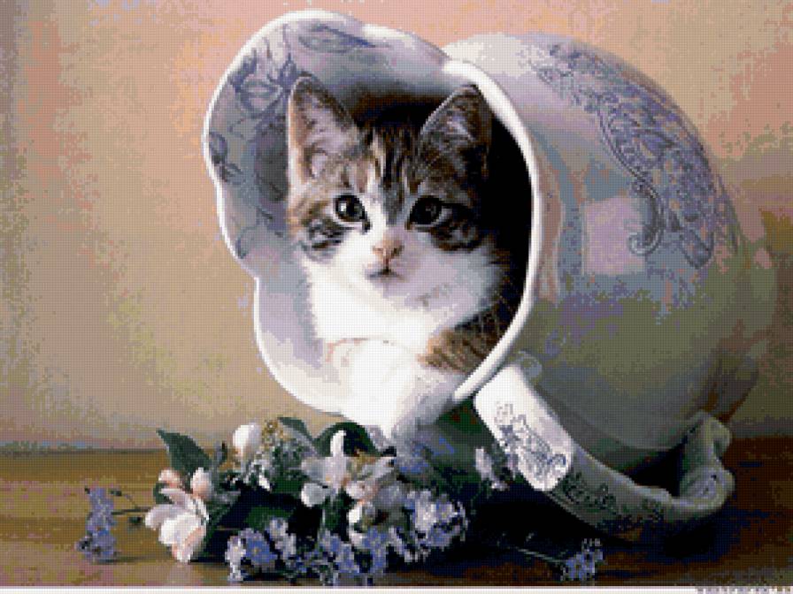 Кошечка в кувшине - природа, кошка, животные, цветы - предпросмотр