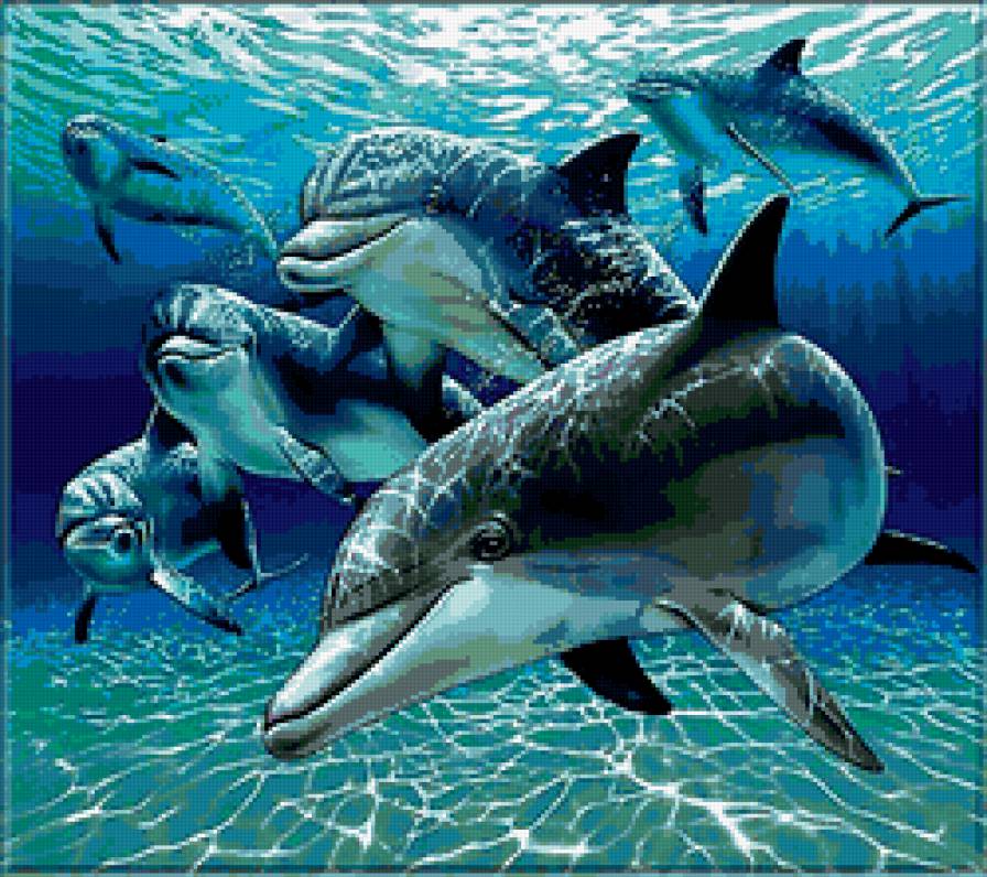 дельфины - подводное царство - предпросмотр