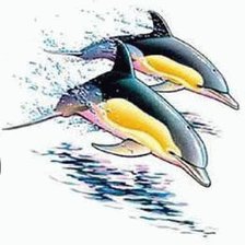 Оригинал схемы вышивки «дельфины» (№379426)