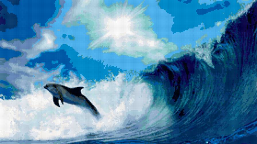 дельфин - море, дельфин, солнце, небо, волна - предпросмотр