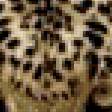 Предпросмотр схемы вышивки «Леопард» (№379791)