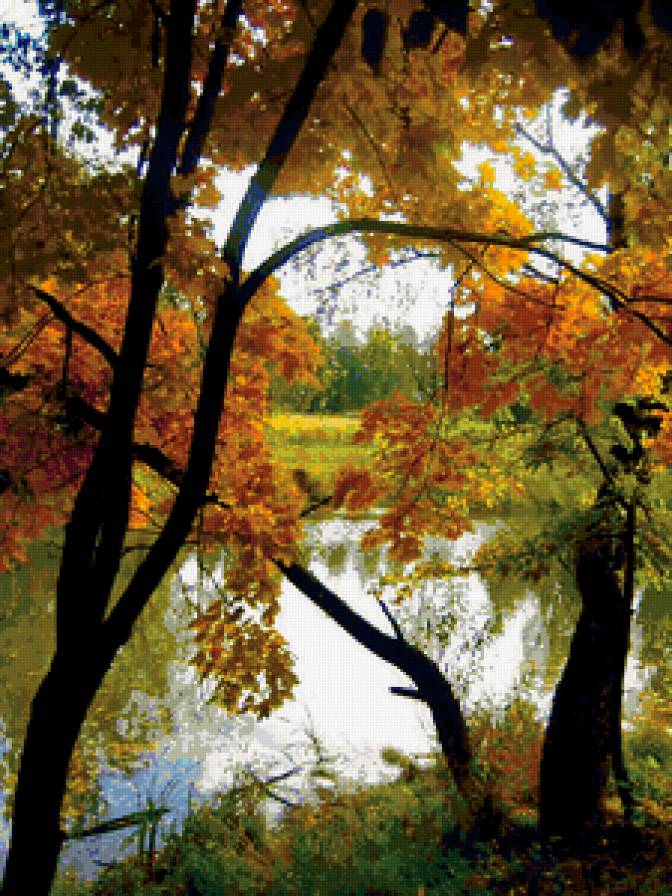 №379806 - природа, деревья, пейзаж, озеро, осень - предпросмотр