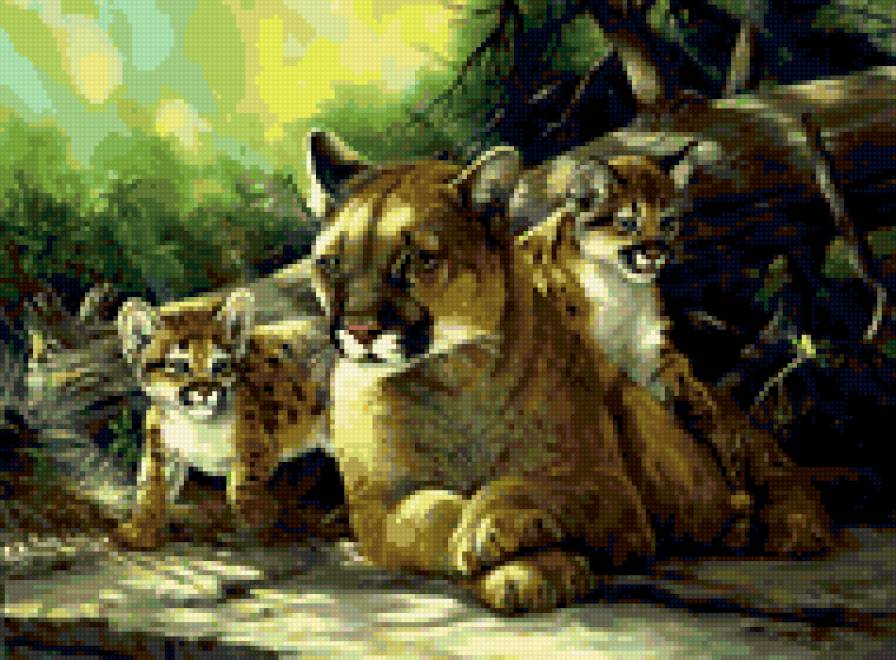 0111 - леопард, животные, кошки, красота, картина, природа - предпросмотр