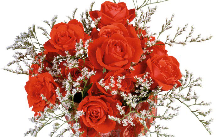 Розы красные - панно, цветы - оригинал