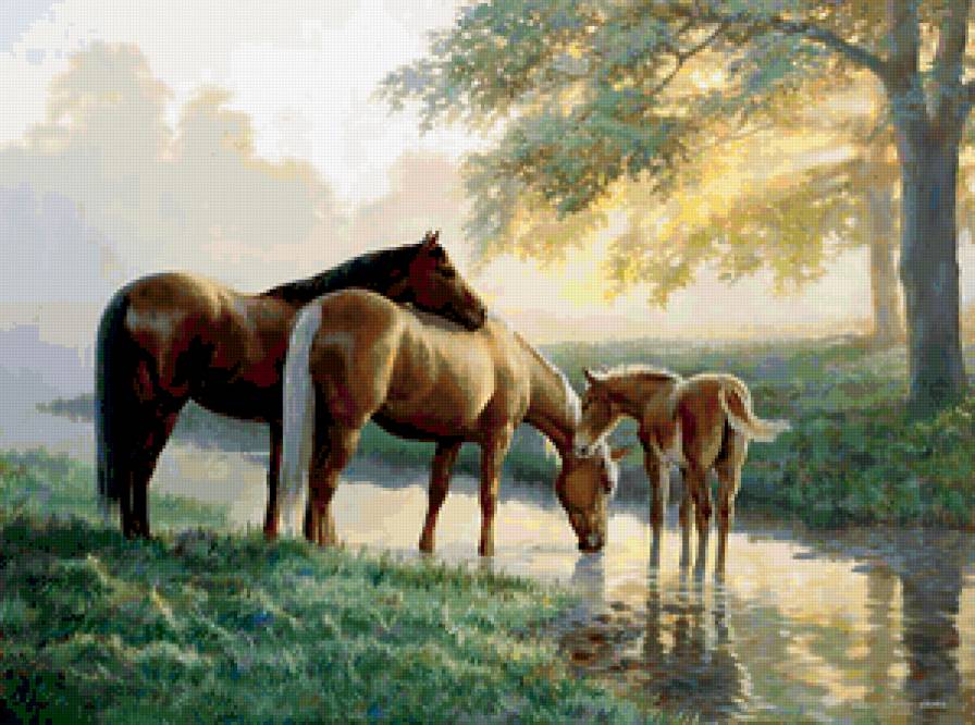кони - природа, лес, у реки, вода, река - предпросмотр