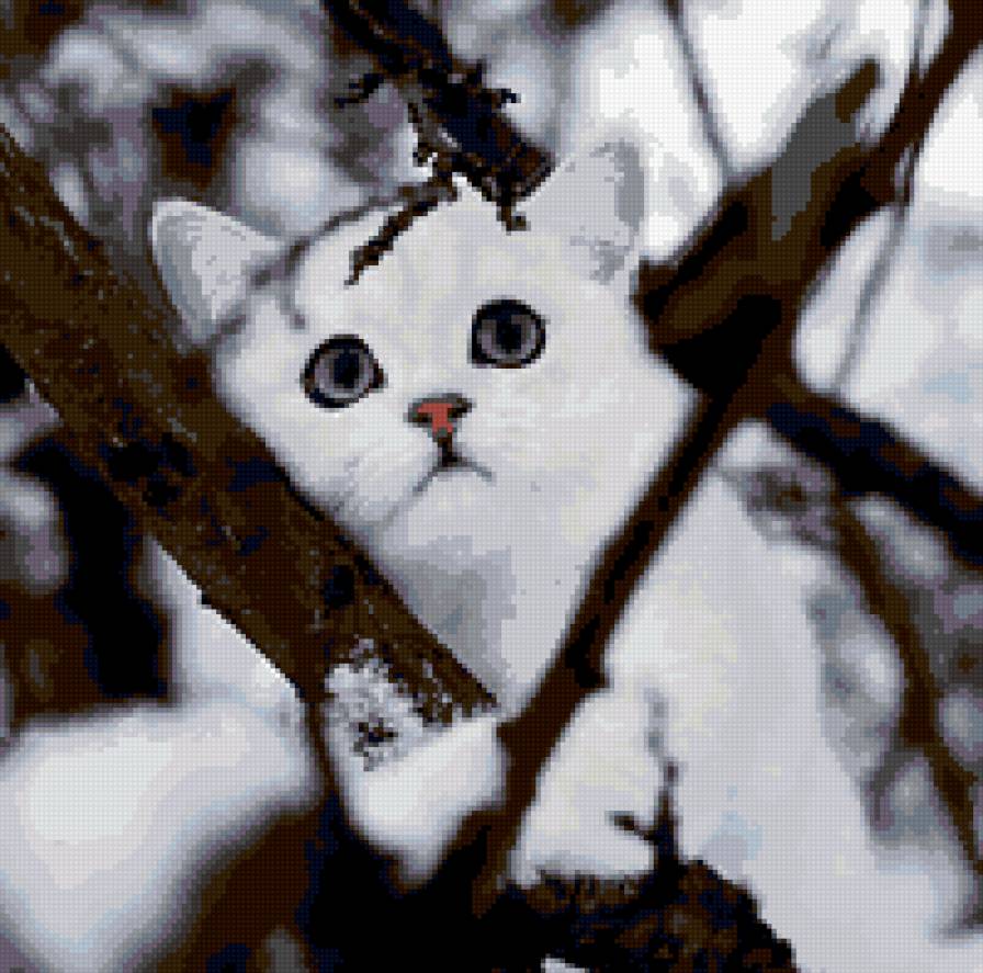 котенок на дереве - животные - предпросмотр