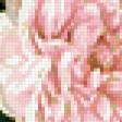 Предпросмотр схемы вышивки «Натюрморт, цветы, розы» (№381674)