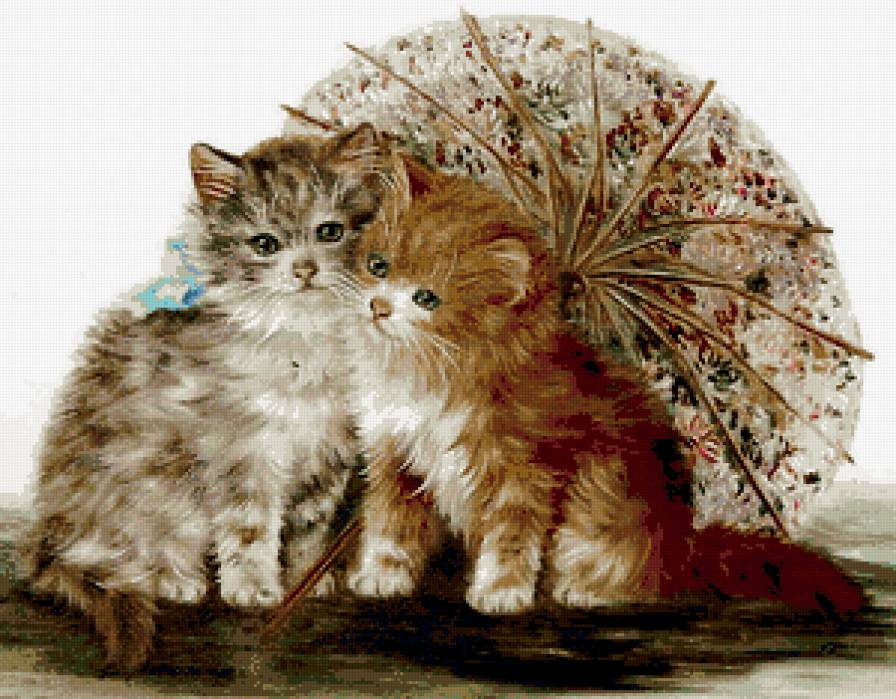 Котята под зонтиком - зонтик, котята - предпросмотр