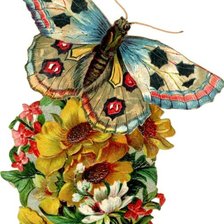 Оригинал схемы вышивки «бабочка на цветах» (№382055)