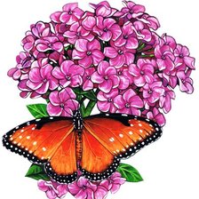 Оригинал схемы вышивки «Бабочка и цветы» (№382425)