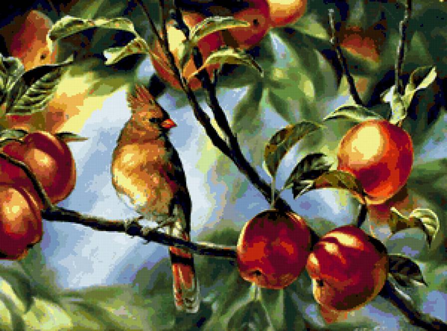 птица на яблоне - предпросмотр