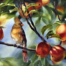 Оригинал схемы вышивки «птица на яблоне» (№382440)