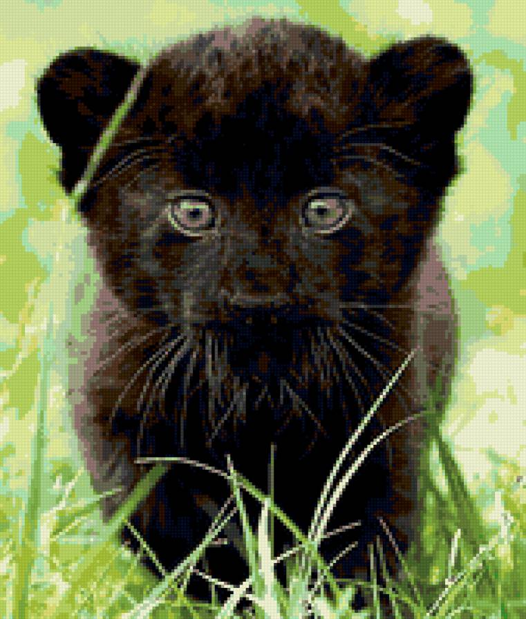 котенок - кот, черный кот, кошки, глаза, пантера, животные - предпросмотр