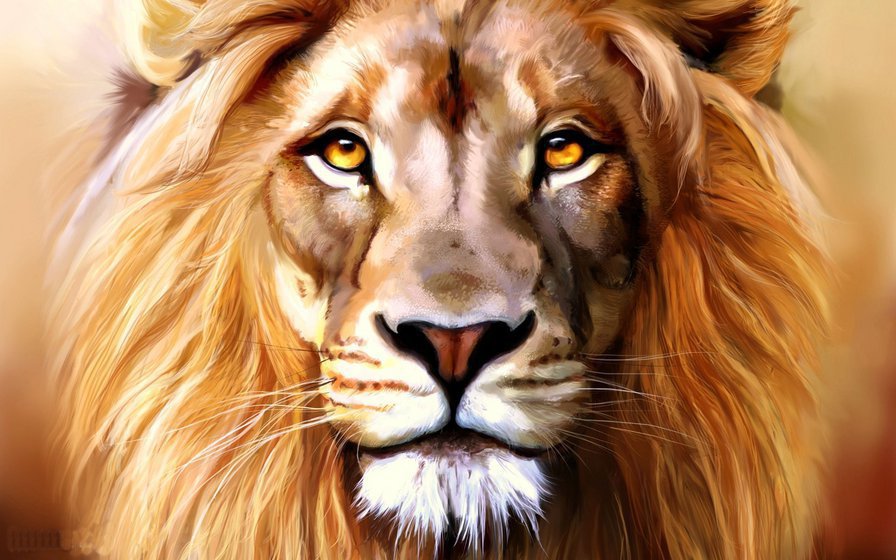 Лев - хищник, кошка, животные - оригинал