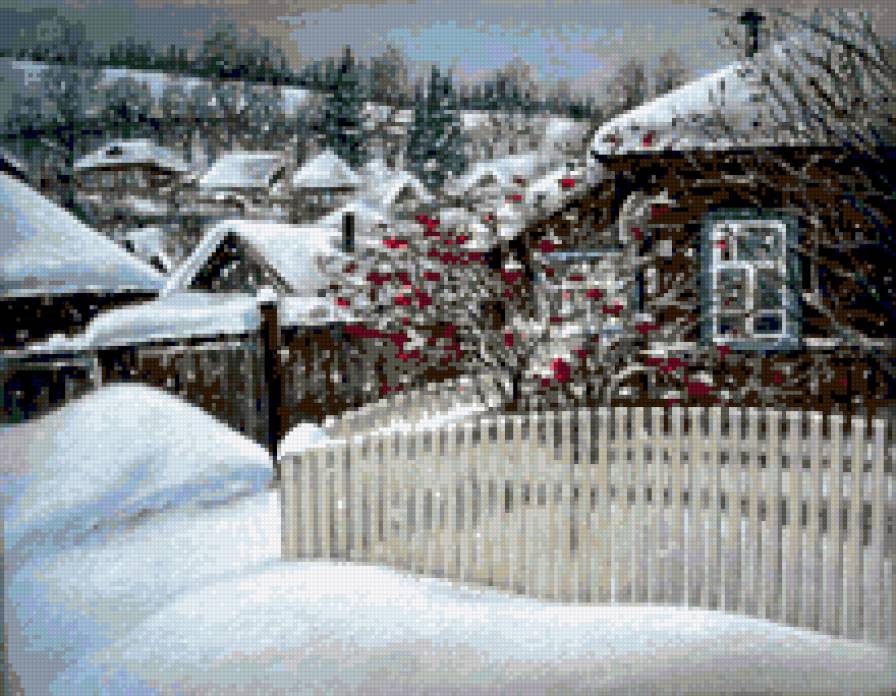 Рябина зимой - зима, пейзаж, рябина, снег, деревня - предпросмотр
