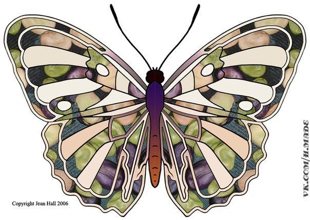 бабочка - бабочка, насекомые, красота, природа - оригинал