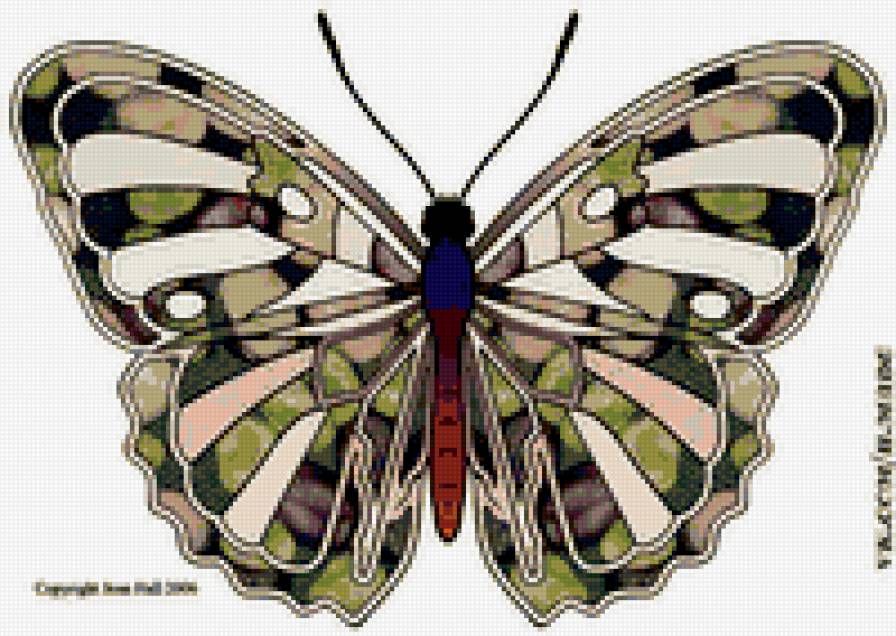 бабочка - красота, насекомые, бабочка, природа - предпросмотр