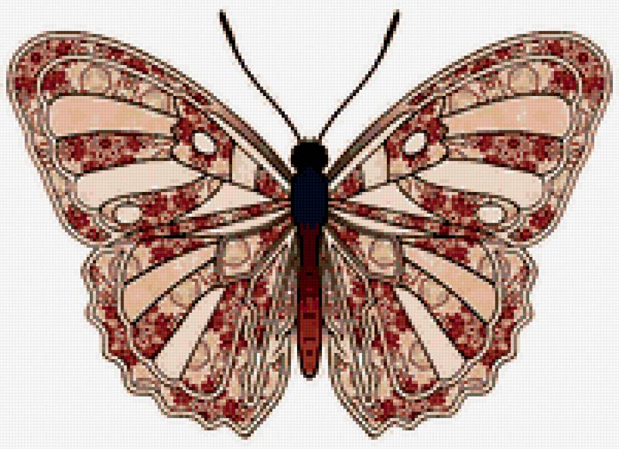 бабочка - бабочка, природа, насекомые, красота - предпросмотр