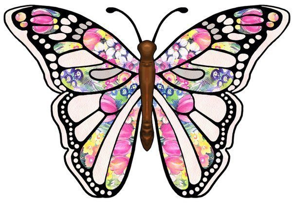 бабочка - природа, красота, насекомые, бабочка - оригинал
