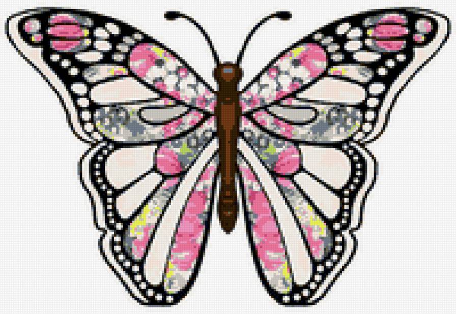 бабочка - бабочка, красота, природа, насекомые - предпросмотр
