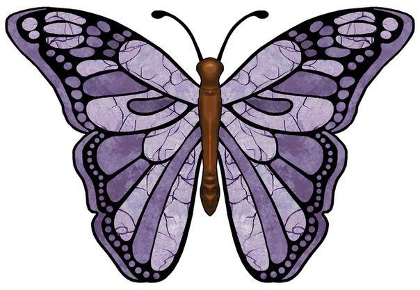 бабочка - бабочка, природа, насекомые, красота - оригинал