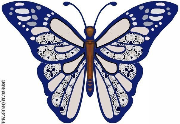 бабочка - насекомые, природа, бабочка, красота - оригинал