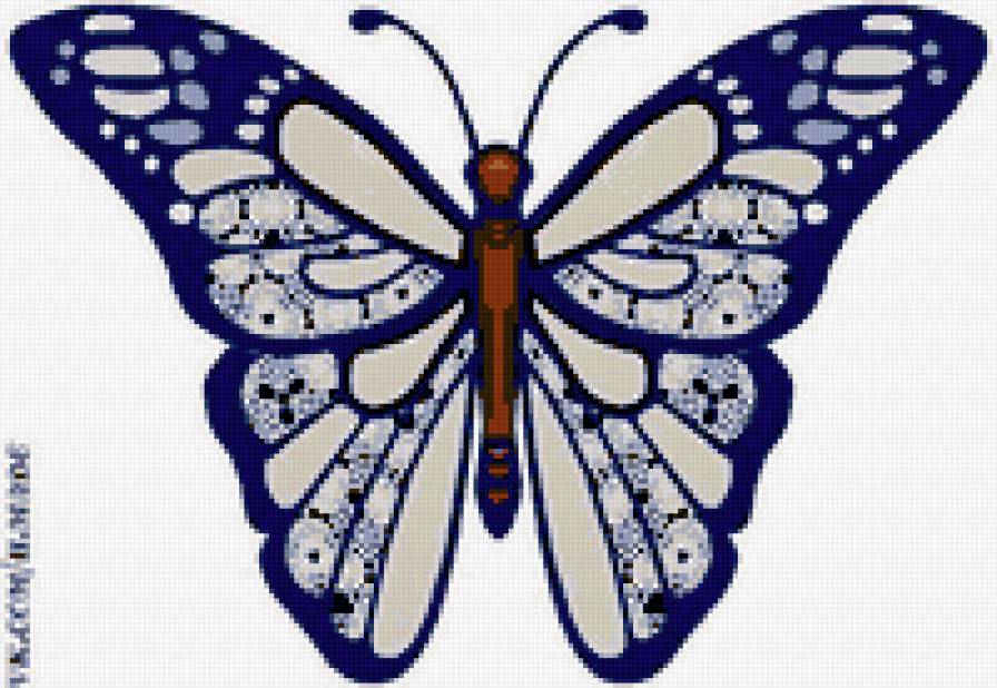 бабочка - красота, природа, насекомые, бабочка - предпросмотр
