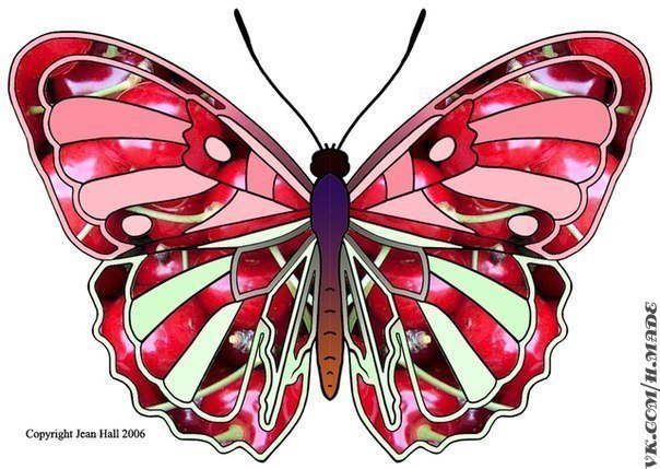 бабочка - красота, природа, бабочка, насекомые - оригинал