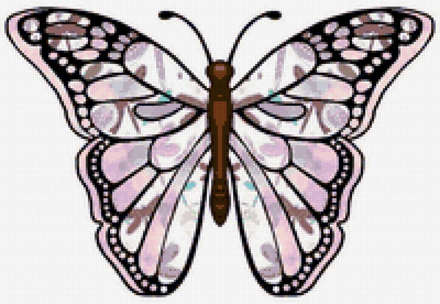 бабочка - бабочка, насекомые, красота, природа - предпросмотр