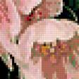 Предпросмотр схемы вышивки «тюльпаны в вазе» (№384165)