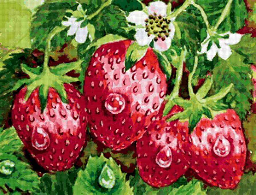 спелая ягода - клубника - предпросмотр