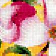Предпросмотр схемы вышивки «нежные цветы» (№384798)