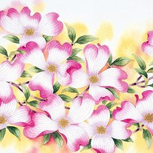 Оригинал схемы вышивки «нежные цветы» (№384798)