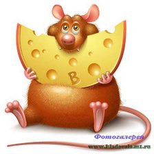 мышка с сыром 2