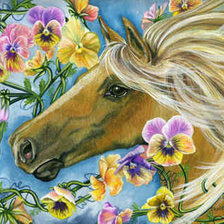Схема вышивки «красавица лошадка»