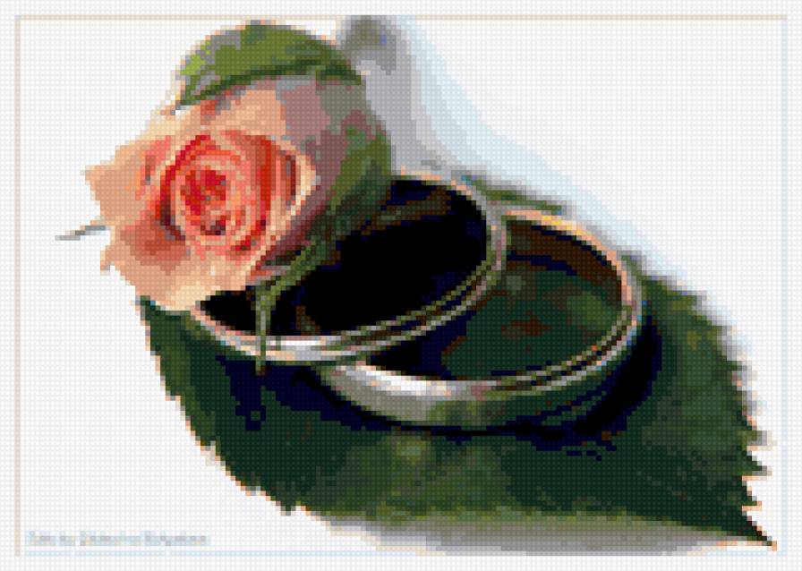 свадьба-2 - кольца, свадьба, роза - предпросмотр