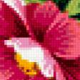 Предпросмотр схемы вышивки «полевые цветы» (№385100)