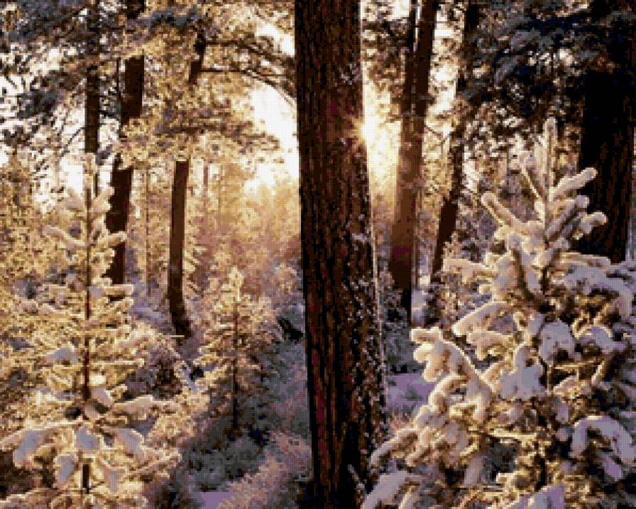 мороз и солнце... - мороз, сугробы, деревья, зима, снег, солнце, пейзаж, природа - предпросмотр