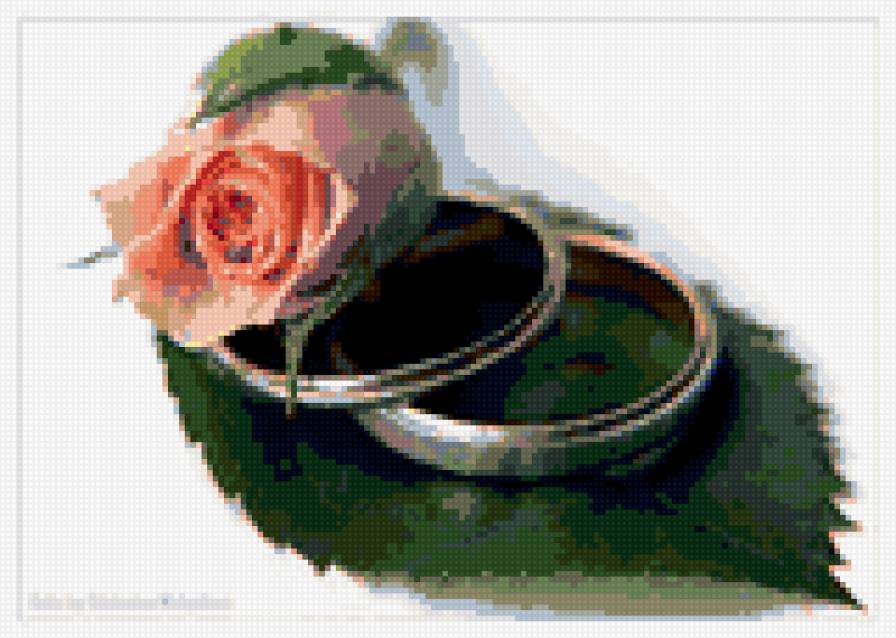 свадьба - свадьба, кольца роза - предпросмотр
