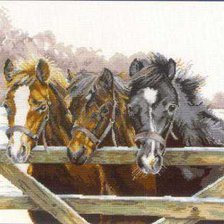 Схема вышивки «Тройка лошадей»