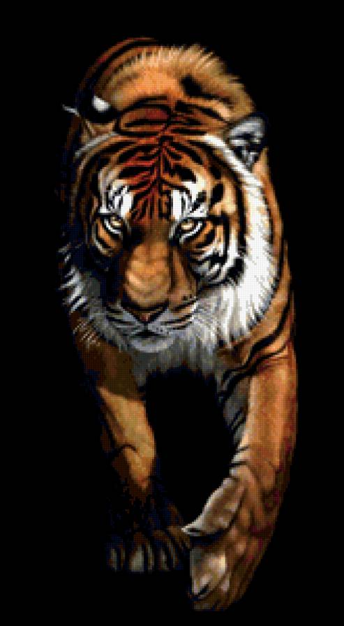 из темноты - хищник, взгляд, тигр, живопись - предпросмотр
