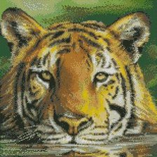 Схема вышивки «тигр в воде»