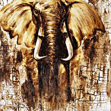 Фактурная абстракция Африканский слон