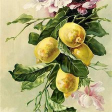 Оригинал схемы вышивки «цветение лимона» (№387255)